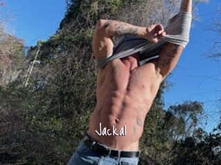 Jackal