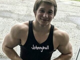 Johnnybull