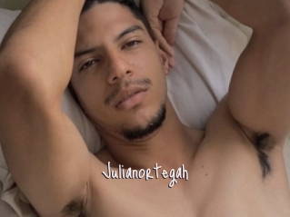 Julianortegah