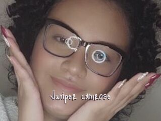Juniper_camrose