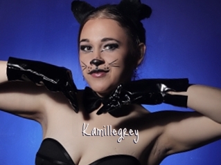 Kamillegrey