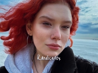 Kandicefox