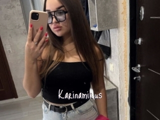Karinamikus
