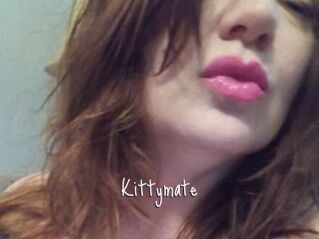 Kittymate