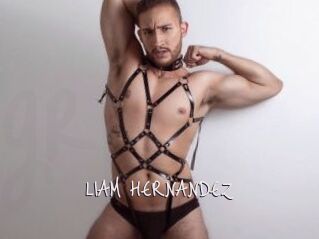 LIAM_HERNANDEZ