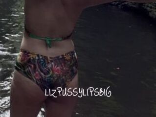 LIZPUSSYLIPSBIG