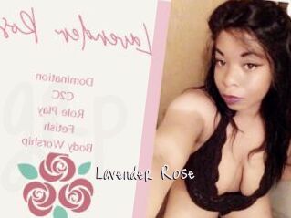Lavender_Rose