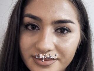 LillyVelvet
