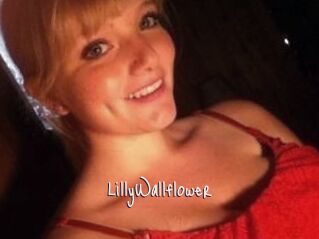 LillyWallflower