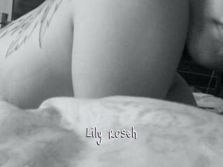 Lily_roseh