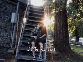 Little_Kittens