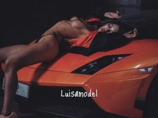 Luisamodel