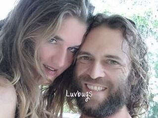 Luvbugs