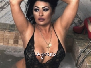 Lacynorris