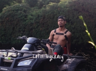 Latin_bigcrazy