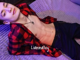 Liammalloy