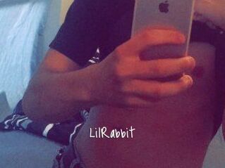 LilRabbit