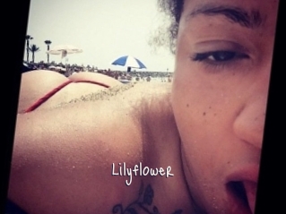 Lilyflower