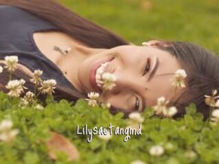 Lilysaetangmd