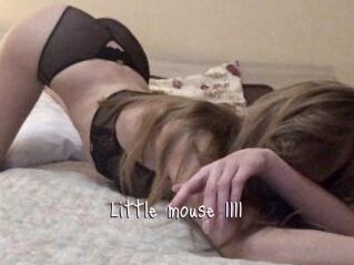 Little_mouse_1111