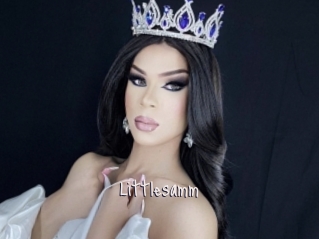 Littlesamm