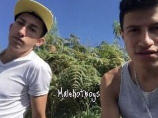 Malehotboys