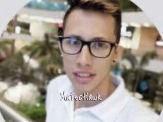 MateoHawk