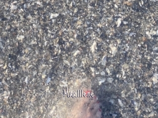 Marlllene