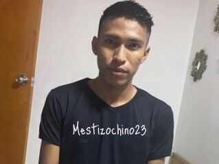 Mestizochino23