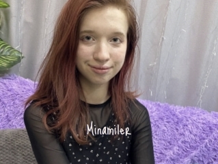 Minamiler