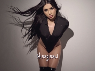 Missgissel