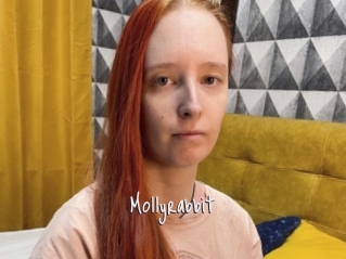 Mollyrabbit