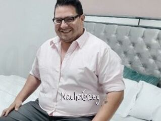 NachoGrey