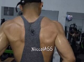 NiiccolASS