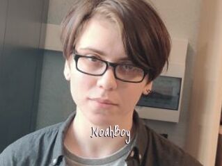 NoahBoy