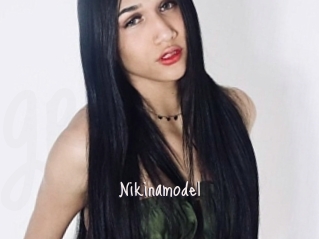 Nikinamodel