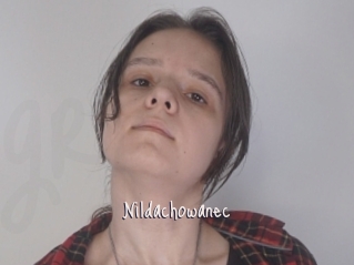 Nildachowanec