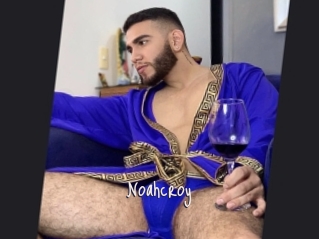Noahcroy