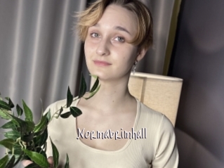 Normabrimhall