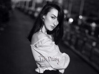 PaleDaisy