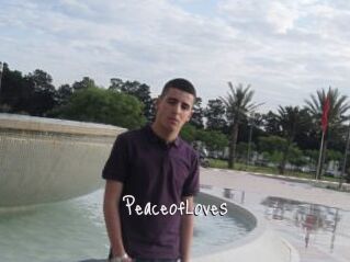 PeaceofLoves