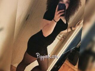 PippinRose