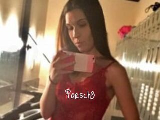 Porsch3