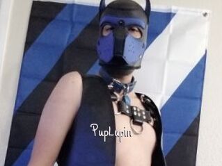 PupLupin