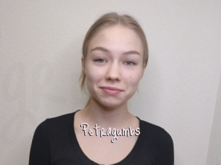 Petragumbs