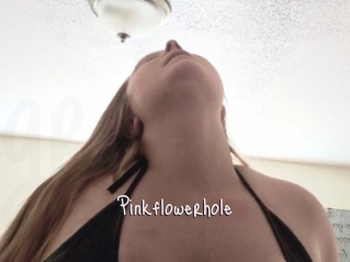 Pinkflowerhole