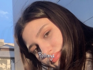 Pollimyr