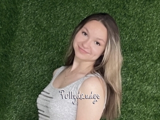 Pollydrudge