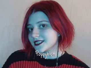 Poppyblom