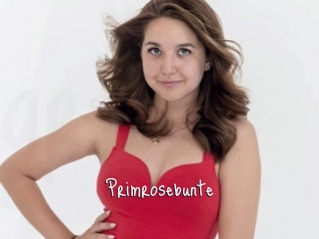 Primrosebunte